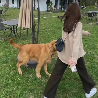 寻找无限的尽头