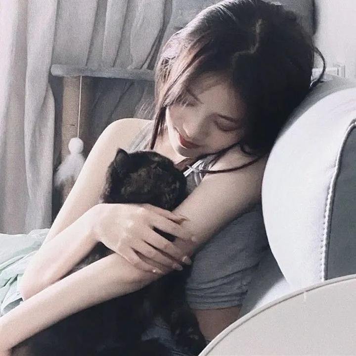 淑女绅士